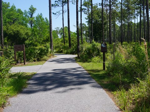 Conservation Park, Panama City Beach, Florida eco-biking and hiking