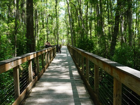 Conservation Park, Panama City Beach, Florida eco-biking and hiking