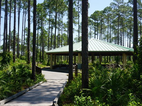 Conservation Park, Panama City Beach, Florida eco-biking and hiking