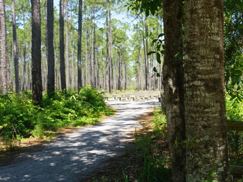 Conservation Park, Panama City Beach, Florida eco-biking and hiking