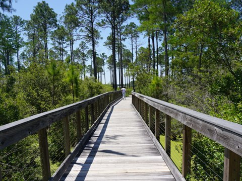 Conservation Park, Panama City Beach, Florida eco-biking and hiking