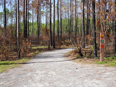 Conservation Park, Panama City Beach, Florida eco-biking and hiking