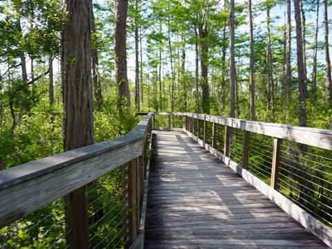 Conservation Park, Panama City Beach, Florida eco-biking and hiking