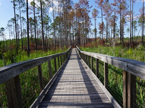 Conservation Park, Panama City Beach, Florida eco-biking and hiking