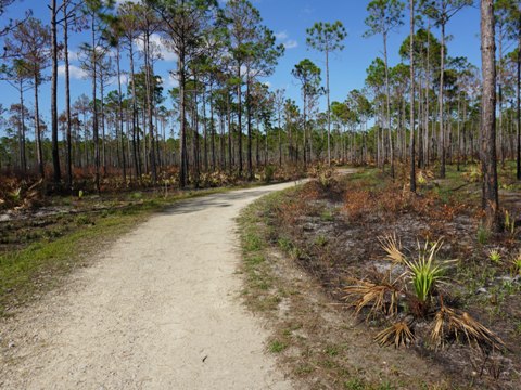 Conservation Park, Panama City Beach, Florida eco-biking and hiking