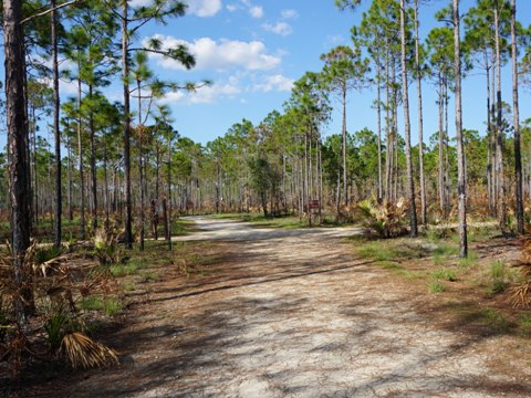 Conservation Park, Panama City Beach, Florida eco-biking and hiking