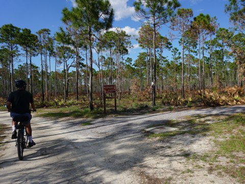 Conservation Park, Panama City Beach, Florida eco-biking and hiking