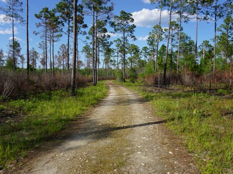 Conservation Park, Panama City Beach, Florida eco-biking and hiking