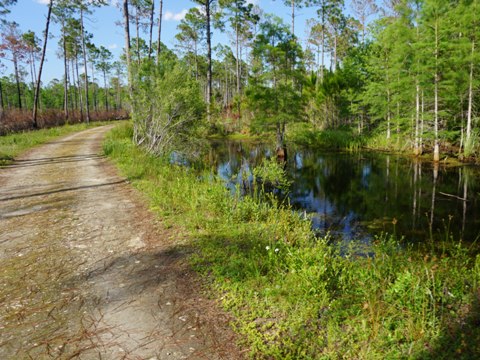 Conservation Park, Panama City Beach, Florida eco-biking and hiking