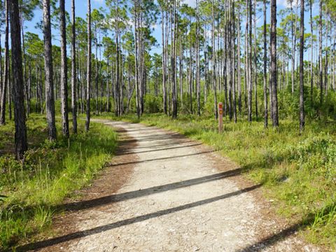 Conservation Park, Panama City Beach, Florida eco-biking and hiking