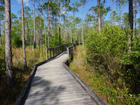 Conservation Park, Panama City Beach, Florida eco-biking and hiking