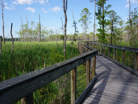 Conservation Park, Panama City Beach, Florida eco-biking and hiking