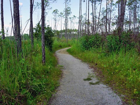 Conservation Park, Panama City Beach, Florida eco-biking and hiking