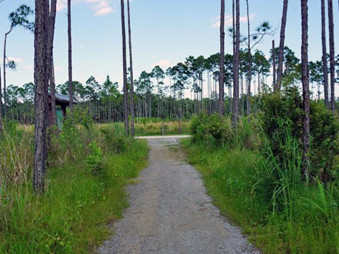 Conservation Park, Panama City Beach, Florida eco-biking and hiking