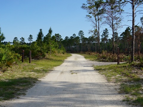 Conservation Park, Panama City Beach, Florida eco-biking and hiking