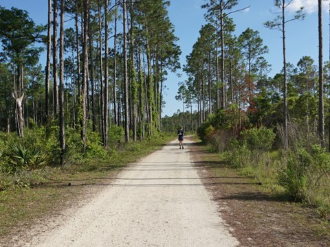 Conservation Park, Panama City Beach, Florida eco-biking and hiking