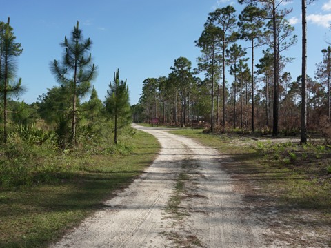 Conservation Park, Panama City Beach, Florida eco-biking and hiking