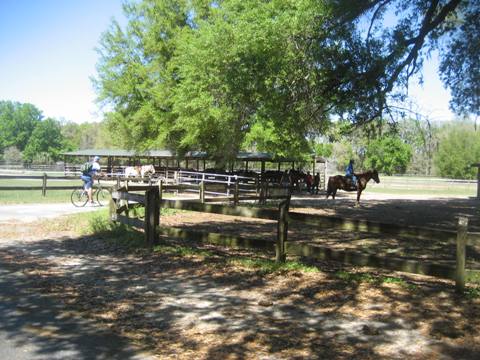 Marjorie Harris Carr Cross Florida Greenway, Landbridge Trailhead