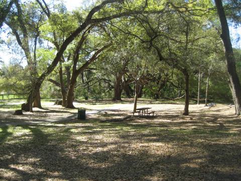 Marjorie Harris Carr Cross Florida Greenway, Landbridge Trailhead