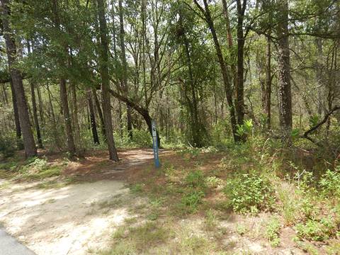 Marjorie Harris Carr Cross Florida Greenway, 49th St Trailhead