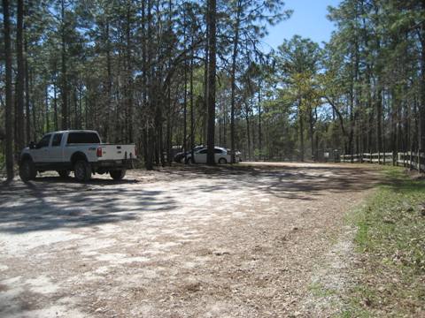 Marjorie Harris Carr Cross Florida Greenway, 49th St Trailhead