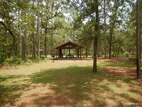 Marjorie Harris Carr Cross Florida Greenway, 49th St Trailhead