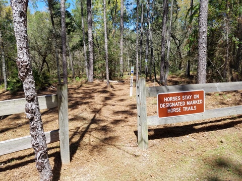 Marjorie Harris Carr Cross Florida Greenway, 49th St Trailhead