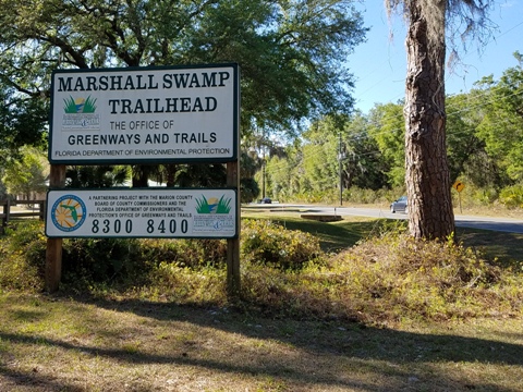 Marjorie Harris Carr Cross Florida Greenway, Marshall Swamp