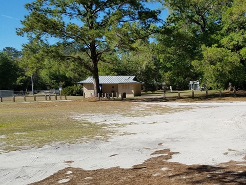 Marjorie Harris Carr Cross Florida Greenway, Marshall Swamp