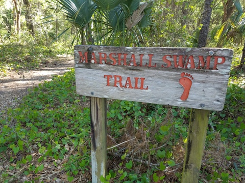 Marjorie Harris Carr Cross Florida Greenway, Marshall Swamp