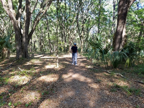 Marjorie Harris Carr Cross Florida Greenway, Marshall Swamp