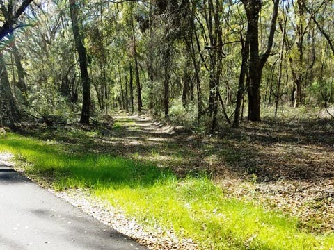 Marjorie Harris Carr Cross Florida Greenway, Santos to Landbridge