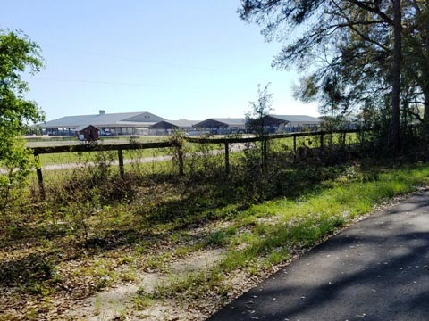 Marjorie Harris Carr Cross Florida Greenway, Santos to Landbridge