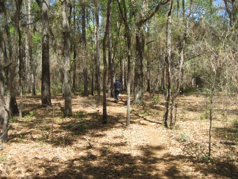 Marjorie Harris Carr Cross Florida Greenway, Shangri-La