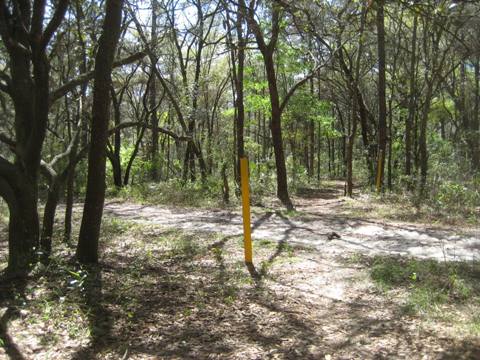 Marjorie Harris Carr Cross Florida Greenway, Shangri-La