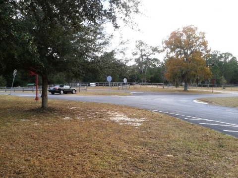 Marjorie Harris Carr Cross Florida Greenway, Ross Prairie