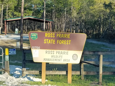 Marjorie Harris Carr Cross Florida Greenway, Ross Prairie