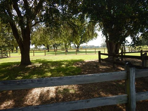 Marjorie Harris Carr Cross Florida Greenway, Pruitt Trailhead