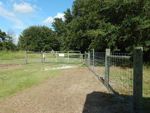 Marjorie Harris Carr Cross Florida Greenway, Pruitt Trailhead