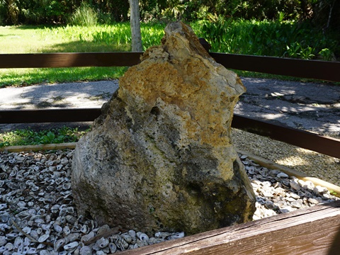 Crystal River Archeological State Park, eco-biking