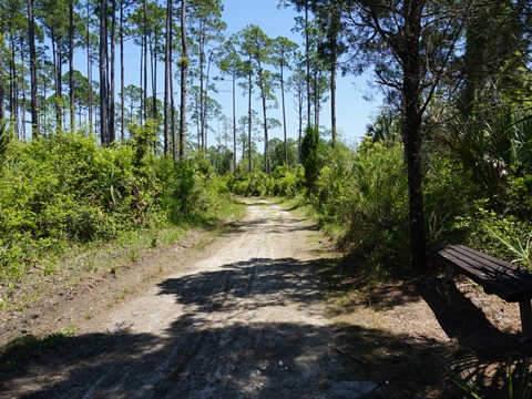 Crystal River Preserve State Park, FL eco-biking