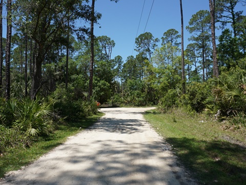 Crystal River Preserve State Park, eco-biking