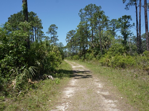 Crystal River Preserve State Park, eco-biking