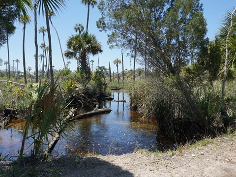 Crystal River Preserve State Park, eco-biking