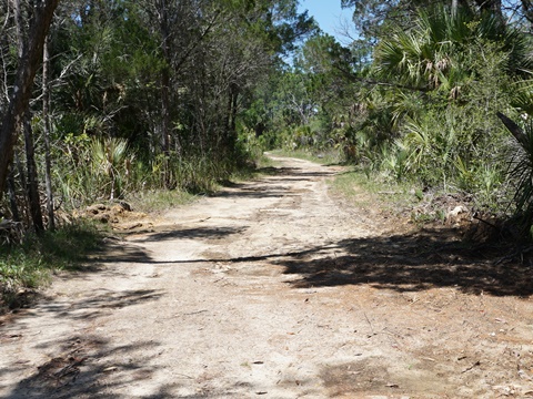 Crystal River Preserve State Park, eco-biking