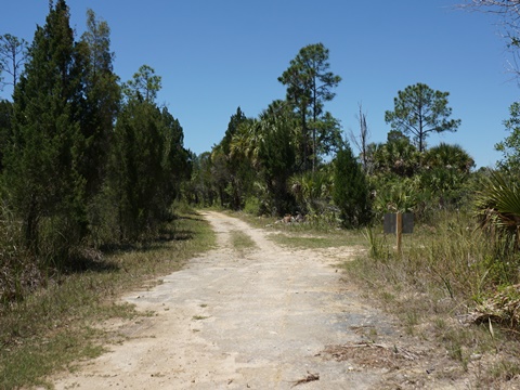 Crystal River Preserve State Park, eco-biking