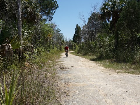 Crystal River Preserve State Park, eco-biking