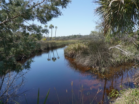 Crystal River Preserve State Park, eco-biking