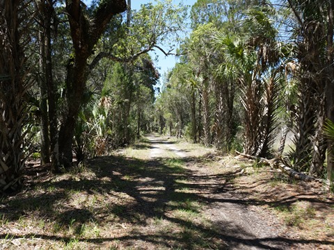 Crystal River Preserve State Park, eco-biking