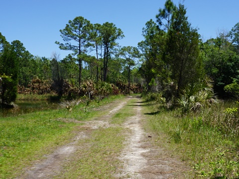 Crystal River Preserve State Park, eco-biking